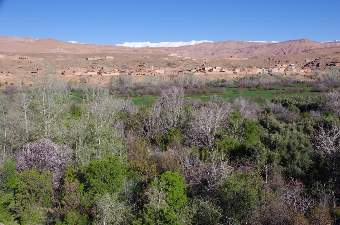 مبيت وإفطار الكيلا دي مجونة Les Jardins Du M'Goun المظهر الخارجي الصورة