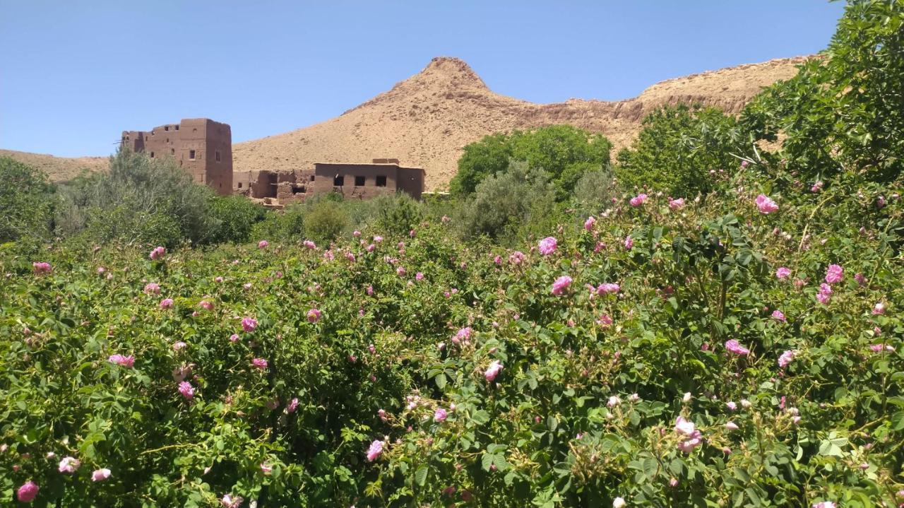 مبيت وإفطار الكيلا دي مجونة Les Jardins Du M'Goun المظهر الخارجي الصورة