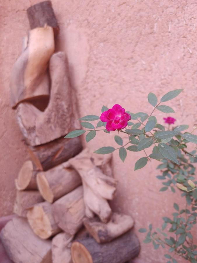 مبيت وإفطار الكيلا دي مجونة Les Jardins Du M'Goun المظهر الخارجي الصورة