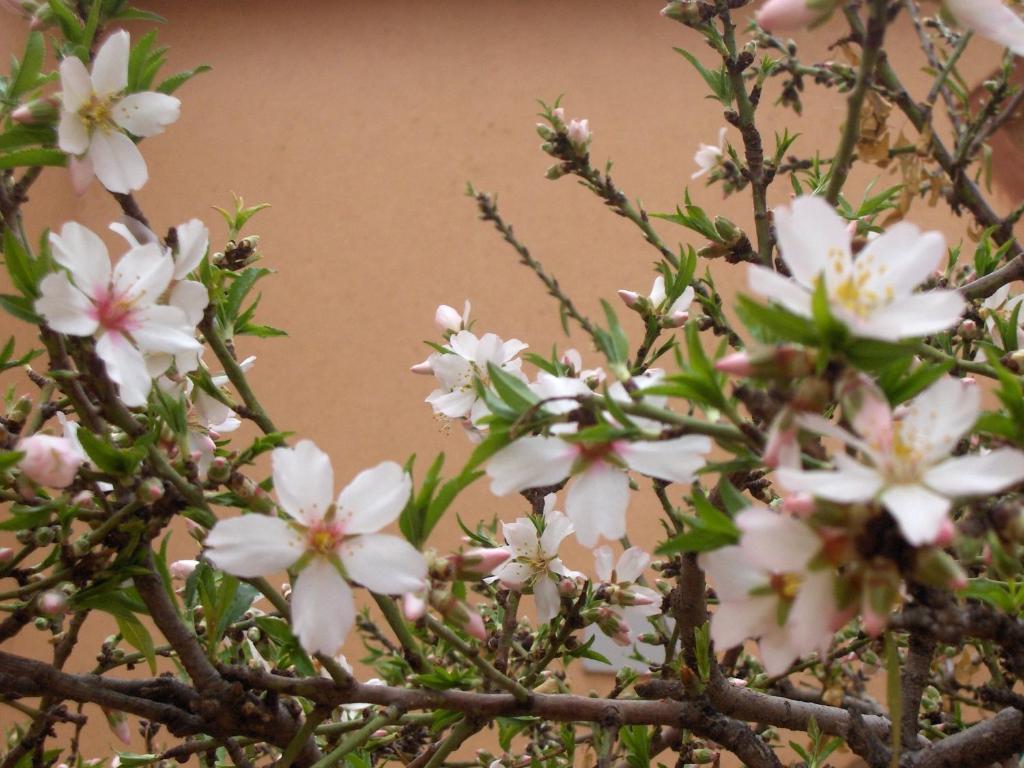 مبيت وإفطار الكيلا دي مجونة Les Jardins Du M'Goun المظهر الخارجي الصورة